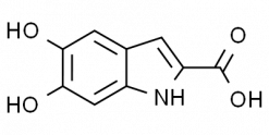 5,6-Dihydroxyindole-2-carboxylic acid
