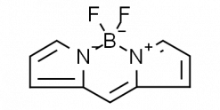Dipyrrometheneboron difluoride