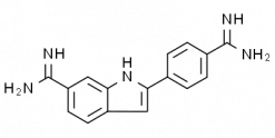 4',6-Diamidino-2-phenylindole