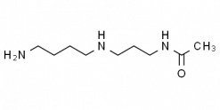 N1-Acetylspermidine