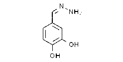 3,4-Dihydroxybenzaldehyde hydrazone