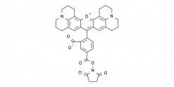 5-Carboxy-X-rhodamine succinimidyl ester