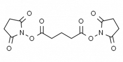 Di(N-succinimidyl) glutarate