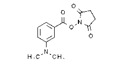 3-(Dimethylamino)benzoic acid N-hydroxysuccinimide ester