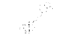 (+)-Biotin N-hydroxysuccinimide ester