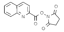 Quinaldic acid N-hydroxysuccinimide ester