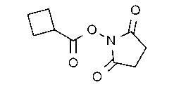 Cyclobutanecarboxylic acid N-hydroxysuccinimide ester