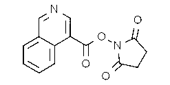 Isoquinoline-1-carboxylic acid N-hydroxysuccinimide ester
