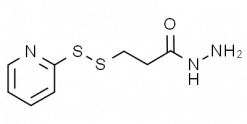3-(2-Pyridyldithio)propanoic acid hydrazide