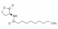 n-Decanoyl L-homoserine lactone
