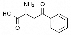 alpha-Amino-beta-benzoylpropionic acid