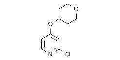 2-Chloro-4-[(tetrahydro-2H-pyran-4-yl)oxy]-pyridine