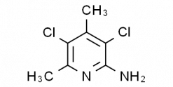 2-Amino-3,5-dichloro-4,6-dimethylpyridine