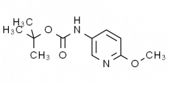 tert-Butyl-N-(6-methoxy-3-pyridyl)carbamate
