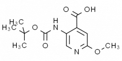 5-(tert-Butoxycarbonylamino)-2-methoxypyridine-4-carboxylic acid