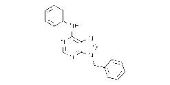 (9-Benzyl-9H-purin-6-yl)-phenylamine