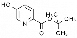 5-Hydroxypyridine-2-carboxylic acid tert-butyl ester