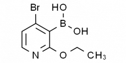 4-Bromo-2-ethoxypyridine-3-boronoc acid