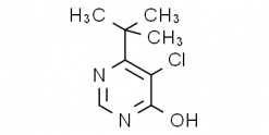 5-Chloro-6-tert-butyl-4-pyrimidinol