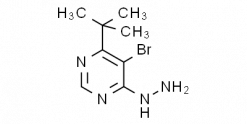 5-Bromo-4-tert-butyl-6-hydrazinopyrimidine