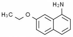 1-Amino-7-ethoxynaphthalene