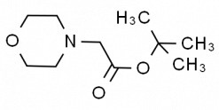 tert-Butyl 2-morpholinoacetate