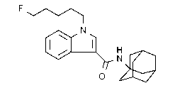STS-135