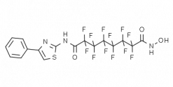 2,2,3,3,4,4,5,5,6,6,7,7-Dodecafluorooctanedioic acid hydroxyamide (4-phenylthiazol-2-yl)amide
