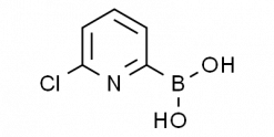 6-Chloropyridine-2-boronic acid