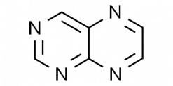 Pteridine