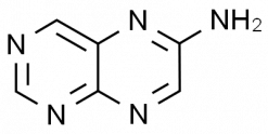 6-Aminopteridine