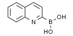 Quinoline-2-boronic acid