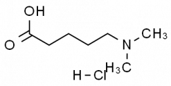 5-(Dimethylamino)-pentanoic acid hydrochloride