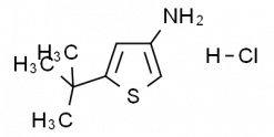 3-Amino-5-tert-butylthiophene hydrochloride