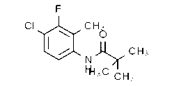 N-(4-Chloro-3-fluoro-2-methylphenyl)-2,2-dimethylpropanamide